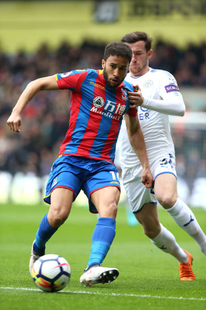 数期待与质 数期待与质